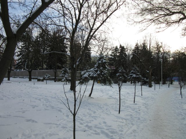 Чем бы заняться юному лорду 30 декабря