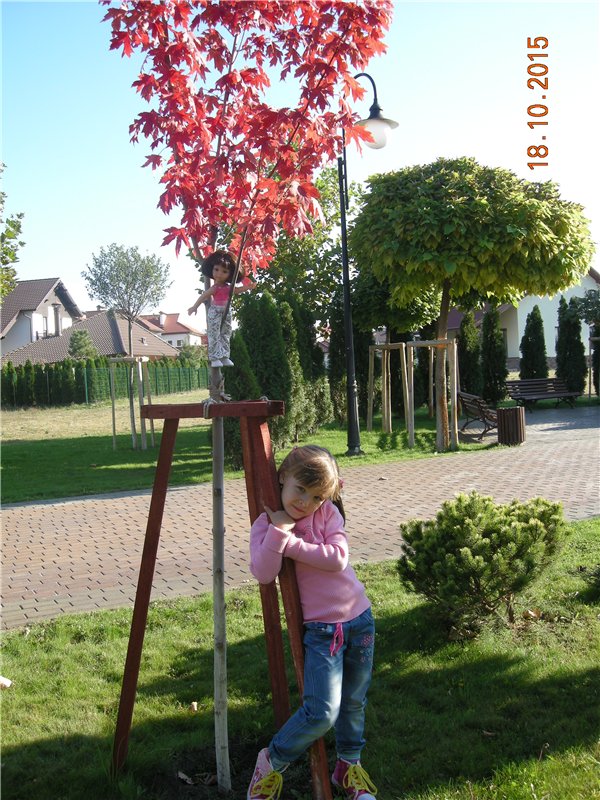 Первые прогулки Алисы — Фэшн