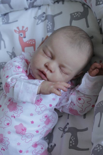 Малышка Ноа,мой нежный цветочек. Кукла реборн Катерины Осиповой-Коняевой