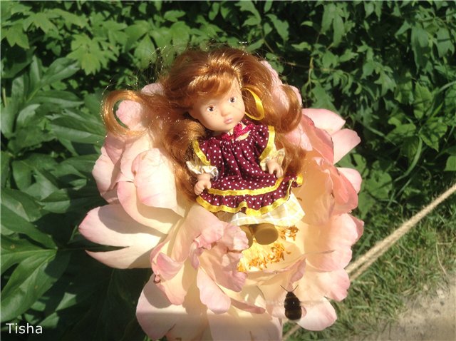 Малышки Sarah Key — Другие мини