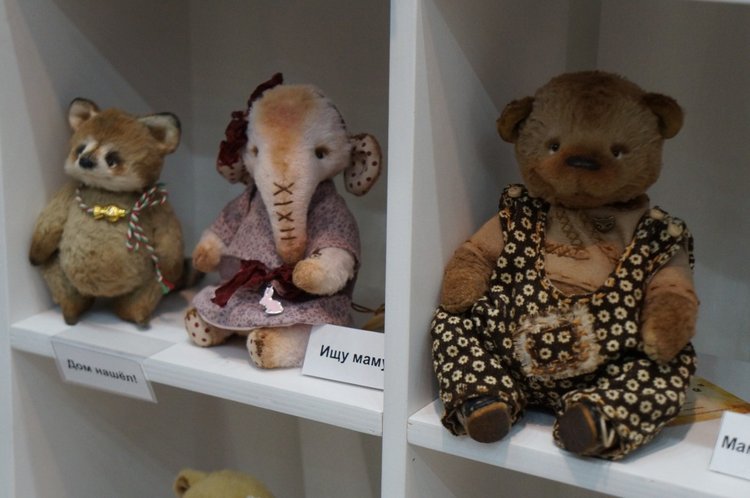 Hello, Teddy 2016! Слоники и ёжики на выставке в Москве. Фоторепортаж