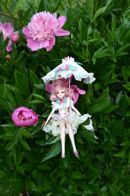 Девушка-пион: джеечка La Rue de Rivoli (J-doll) (фото 8)