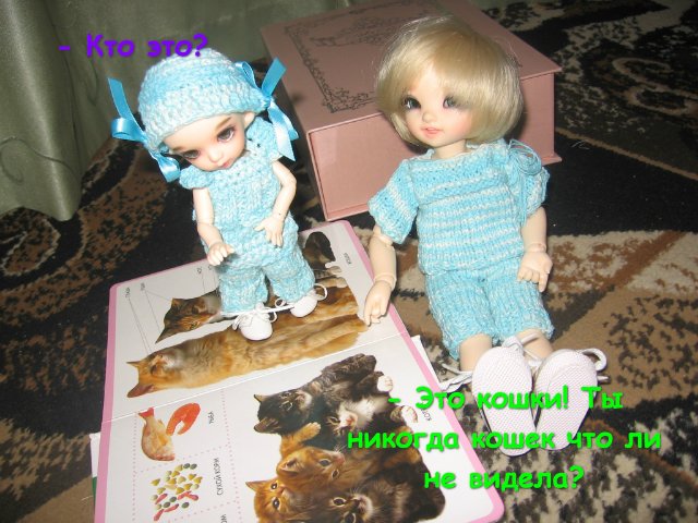 Старший брат — Домашние коллекции кукол: фото собраний