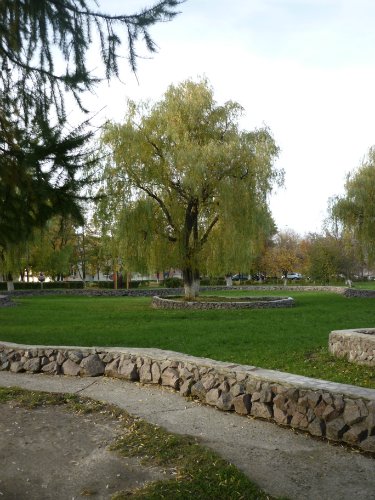 Золотая осень. Старый Оскол, Белгородская область