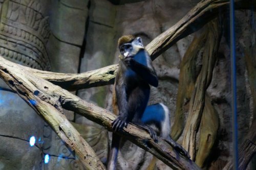 Воронежский океанариум — Туризм и путешествия: фотоотчеты из поездок