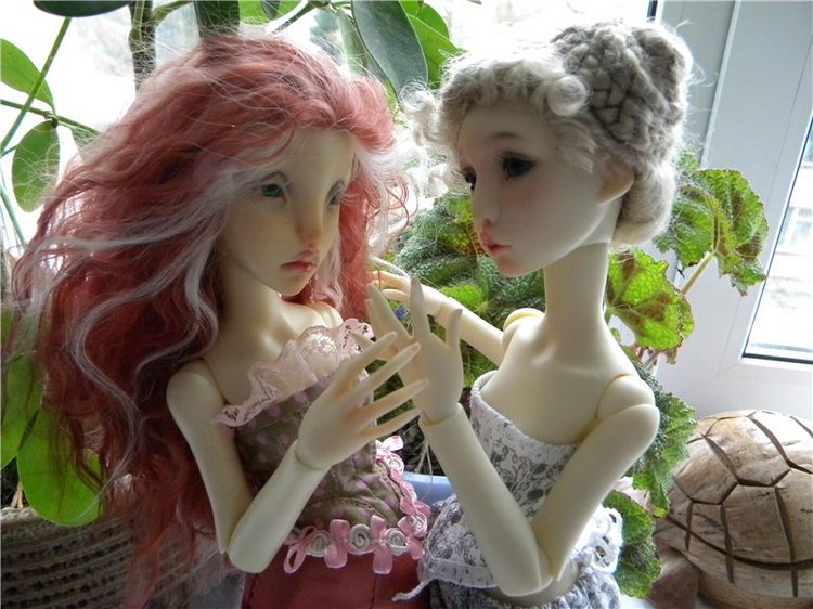 Теперь они вместе. Мои Лилликэтки Constantine и Ninon (фото 6)