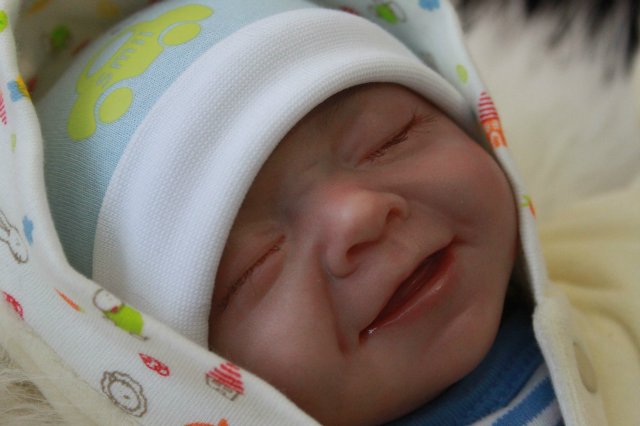 Мои двойняшки-кукла реборн Элины Кудрявцевой (фото 6)