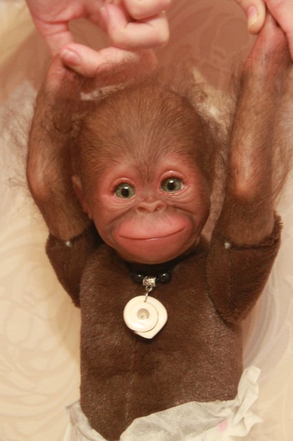 Бонька, обезьянка реборн Элины Кудрявцевой