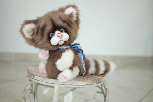 Голубоглазый котик-обормотик Мишка