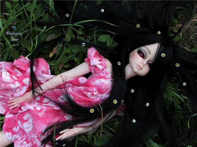 А я все тащу с разных сайтов (фото 4)