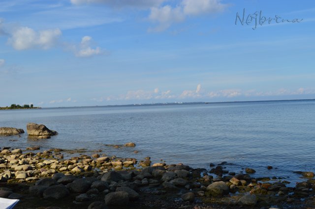 Питер - самый лучший город на земле! Вихтель Rosemarie Anna Muller