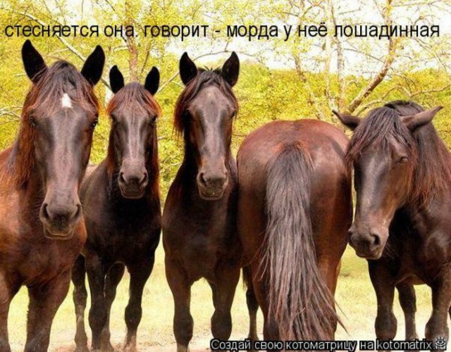 Просто добавь улыбку или пятничный девиз