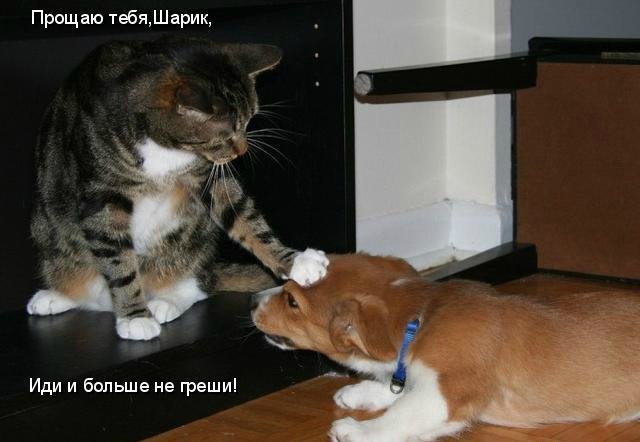 Просто добавь улыбку или пятничный девиз