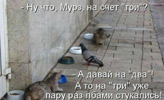 Просто добавь улыбку или пятничный девиз