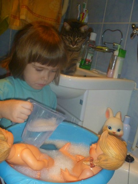 Моего кота не волнуют конкурсы, он просто любит фотографироваться (фото 6)