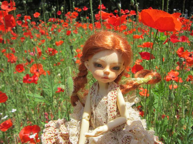 Выставка роз в Сеуле — Туризм и путешествия: фотоотчеты из поездок