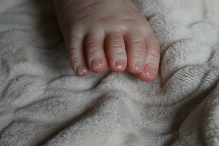 Прототип Sophia by Jannie de Lange. Кукла реборн Шепелевой Людмилы