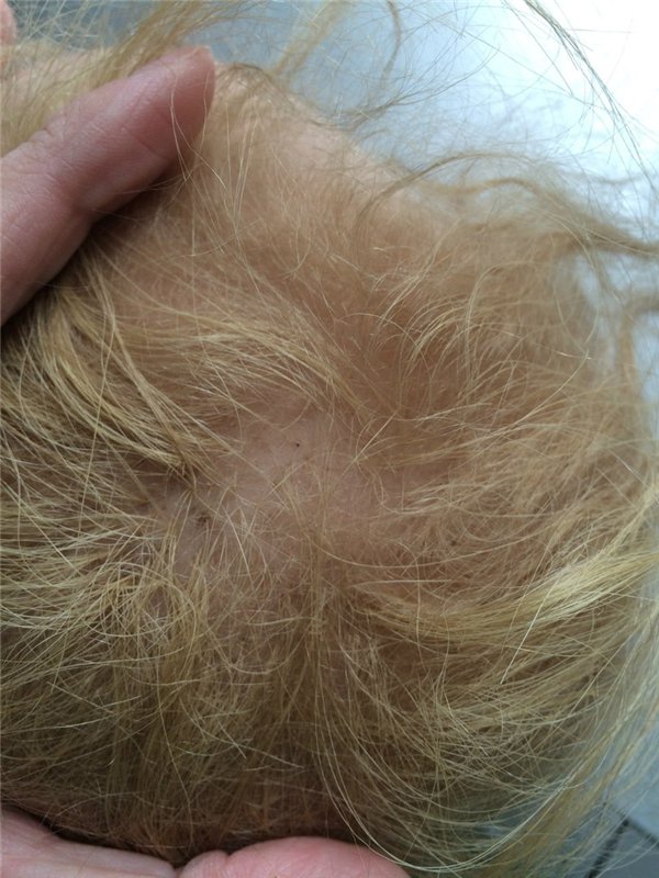 Была Лиза, стала Дафния или моя переделочка (фото 7)