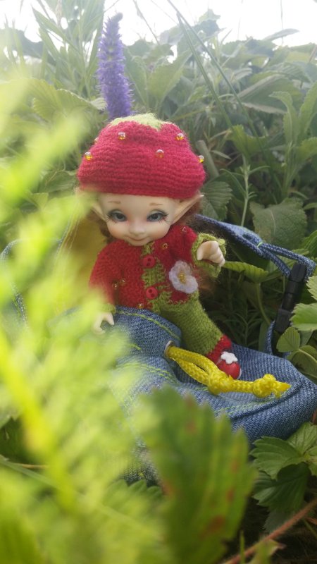 Земляничный день — Домашние коллекции кукол: фото собраний (фото 8)