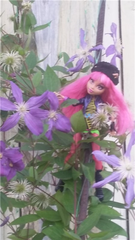 В гостях у бабушки ))) или яркое лето 2016 с девочками от Монстр Хай | Бэйбики В гостях у бабушки ))) или яркое лето 2016 с девочками от Монстр Хай