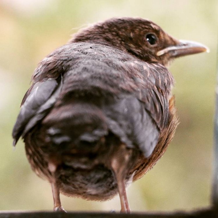 Те, кто нас любит и в домашнем халате, и без косметики, и растрепанными | Бэйбики Те, кто нас любит и в домашнем халате, и без косметики, и растрепанными