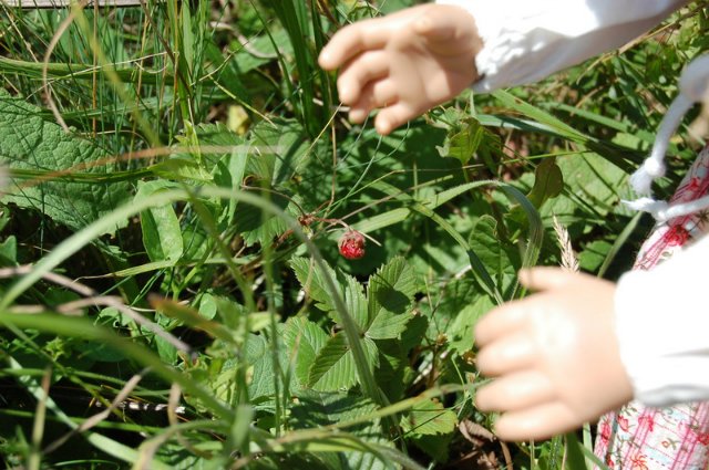 Путешествие по огромному миру! Ирис от E. Pfaffendorf и Тим от Susi Eimer