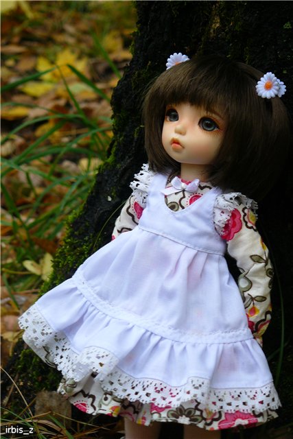 Вот так погуляли или Как у нас появилась кукла БЖД LittleFee Ante Elf