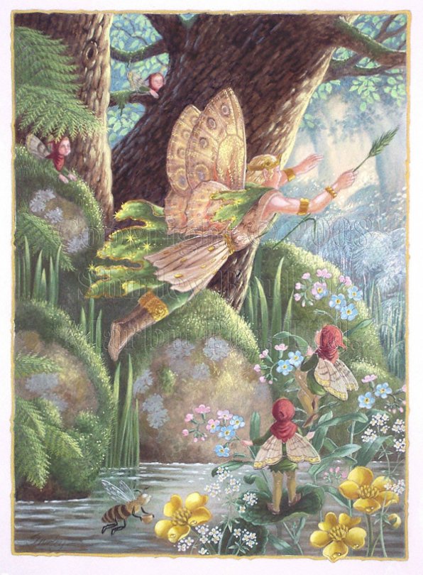 Мир эльфов и фей от Ширли Барбер (SHIRLEY BARBER)