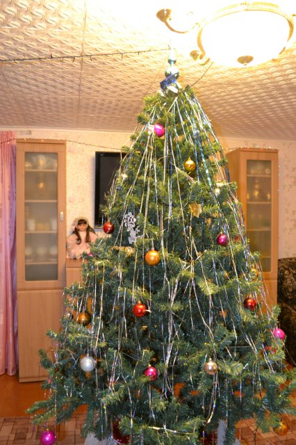 Рождественский топик — Домашние коллекции кукол: фото собраний