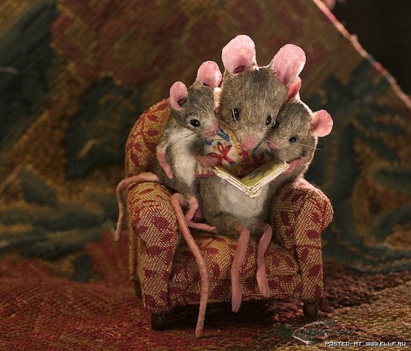 Мышиный дом или Жизнь замечательных мышей. Авторские игрушки в книжной иллюстрации. Мэгги Руди (Maggie Rudy) - "Mouses