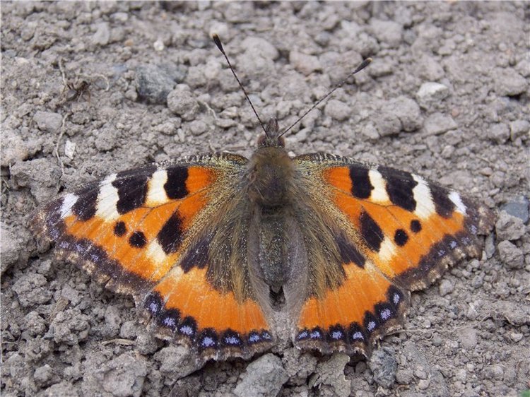 Город детства - Аша — Туризм и путешествия: фотоотчеты из поездок