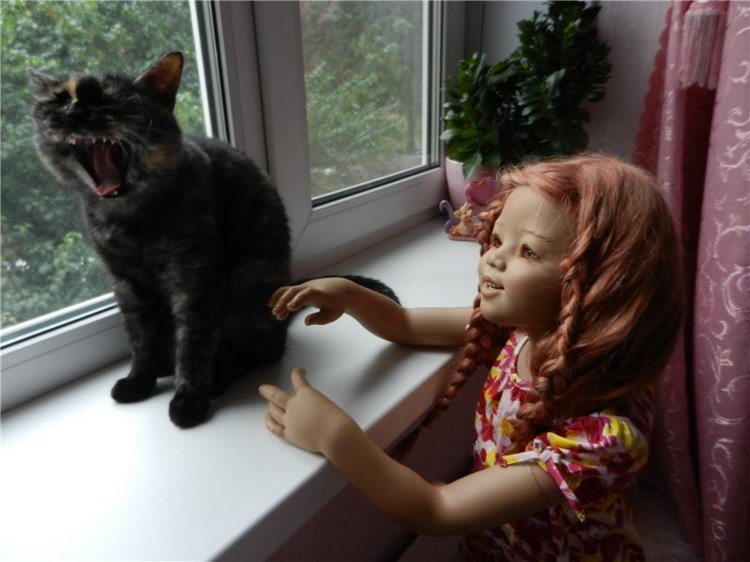 Сеиника. Seinike 2006 Annette Himstedt (фото 4)