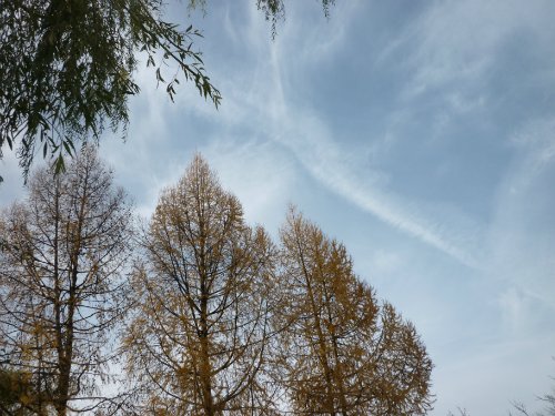 Золотая осень. Старый Оскол, Белгородская область