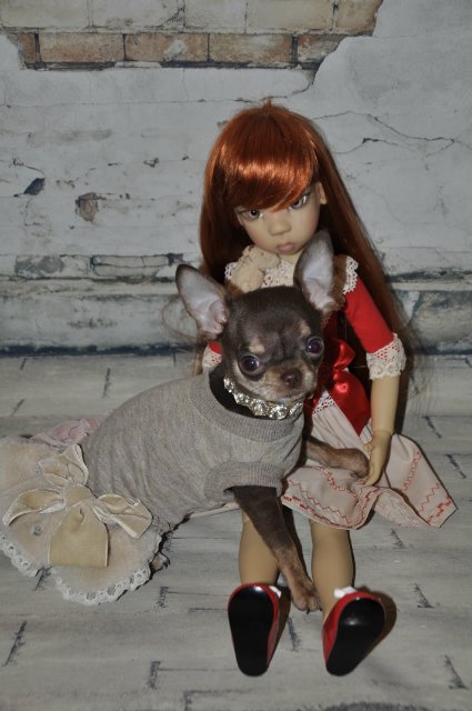 Еще одна Мики санкисс Kaye Wiggs. Хотим познакомиться с сестренками (фото 10)