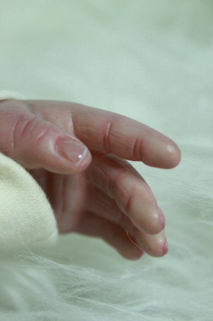 Мои двойняшки-кукла реборн Элины Кудрявцевой