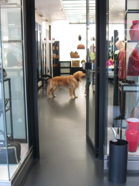 "Моя Италия". Часть 3 - Виареджо, Лукка, Пиза