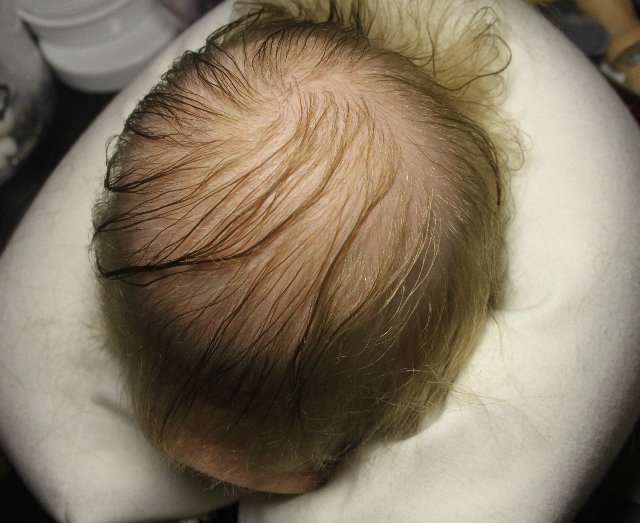 Ефросинья, Фросенька. Кукла реборн Элины Кудрявцевой