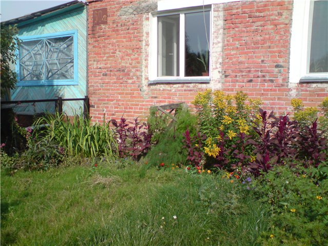 Моя Родина-Кузбасс или прогулки Тристен (фото 3)