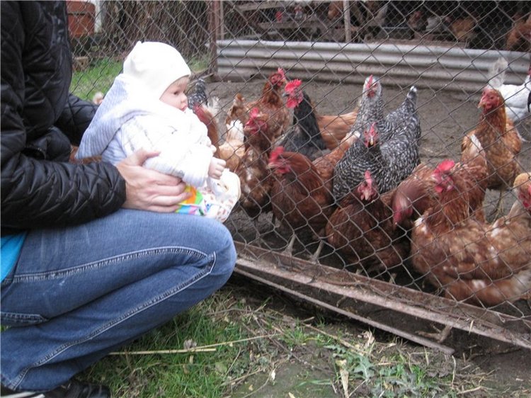 Кирюша. Игровой испанский малышок, фирма Arias