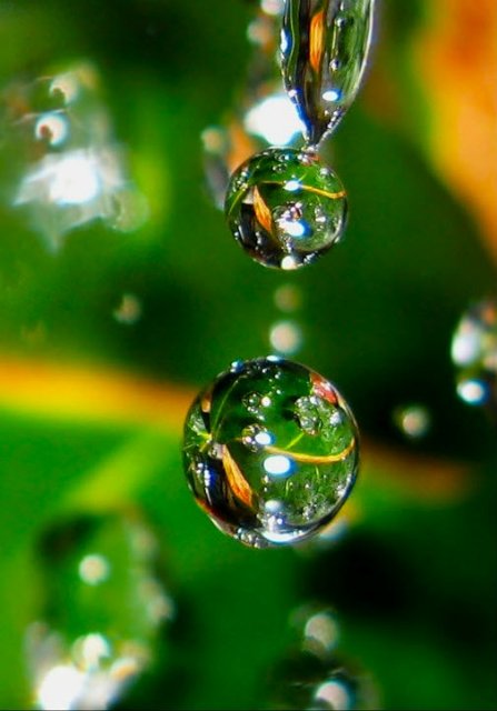 Капелька :) — Интересное и необычное: фотоподборки