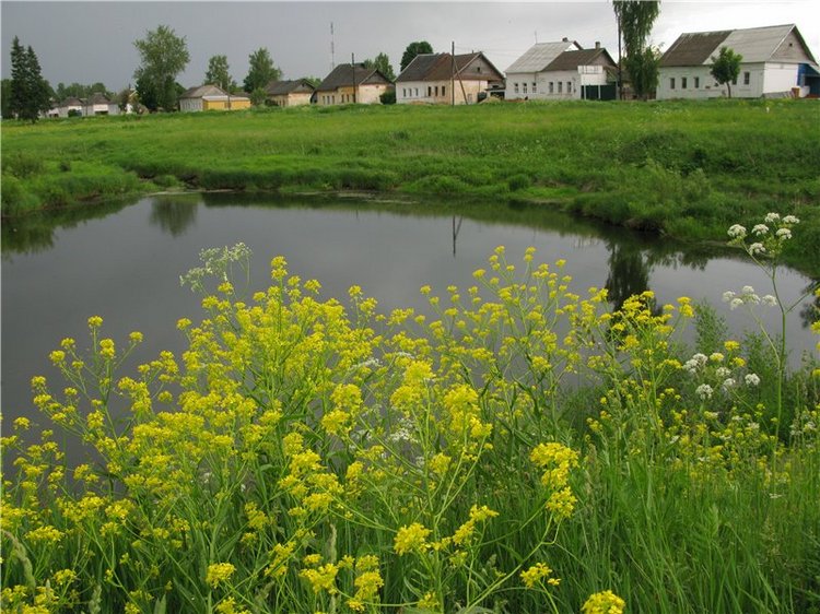 46-ой Пушкинский праздник поэзии в Берново. Часть вторая