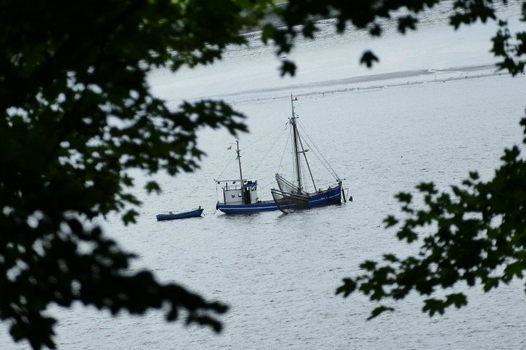 Hirschpark Hamburg. Олений парк. ВИДЕО