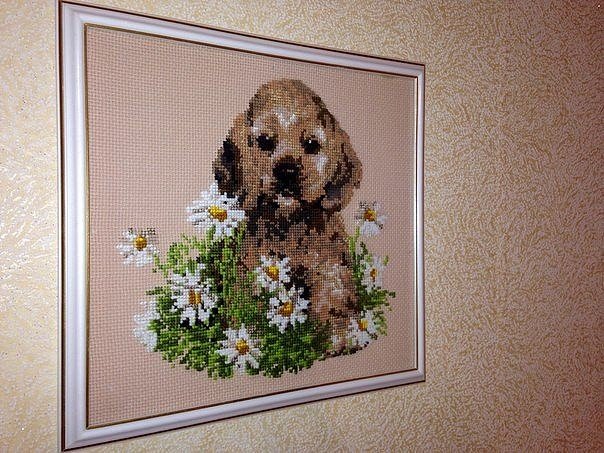 Другие наши увлечения:вышивка картин