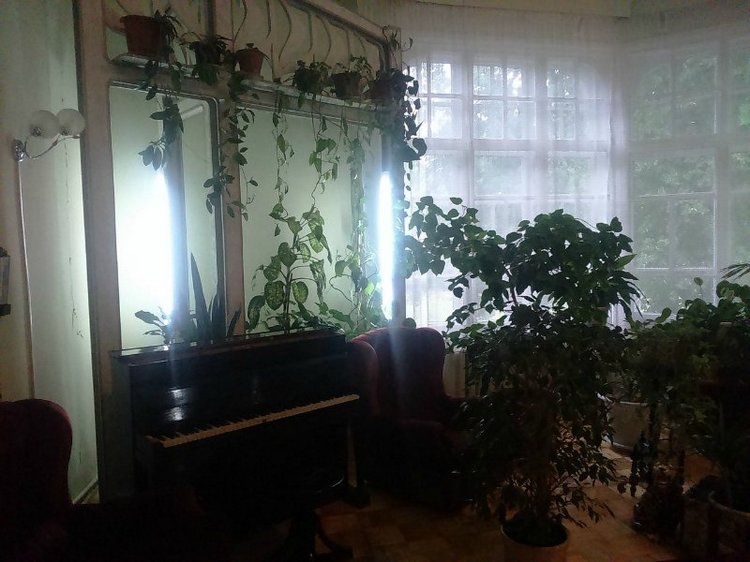 Путешествие в город Сарапул. Часть 2 - Дача Башенина