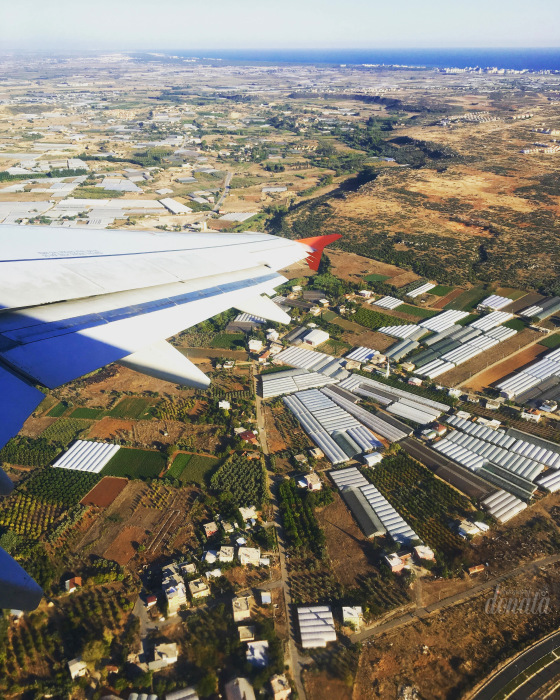 Как Фиби в отпуск съездила. Авторская бжд-мышка Лидии Снуль