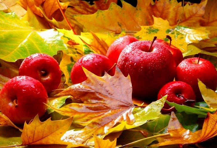 Красотка-осень — Болталка и разговоры обо всем: жизнь