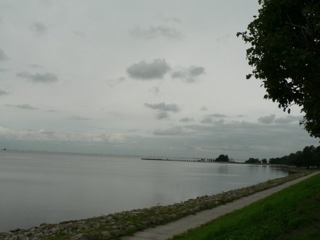 Тучи брызг моря.... Петергоф (фото 3)