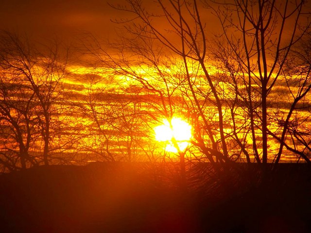 Очаровательные ангелы от Fayzah Spanos