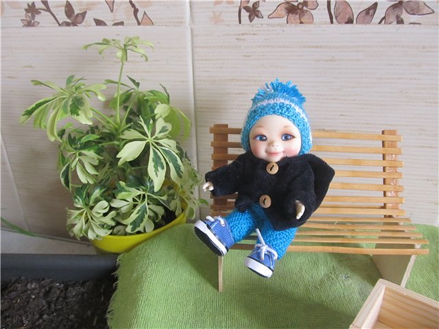 "Мастер-класс" по посадке огорода (фото 9)