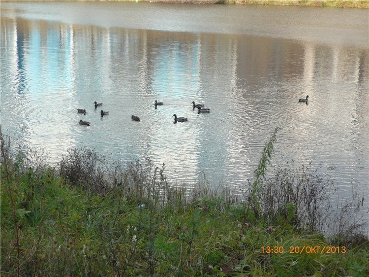 Мой милый утеночек! Лёля - кукла Ли Миддлетон (фото 5)